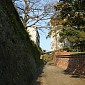 IMG_5474
