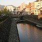 IMG_5481