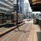 IMG_5517