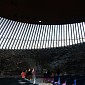 IMG_7561