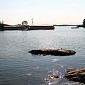 IMG_7586