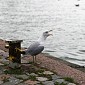 IMG_7639