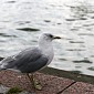 IMG_7642