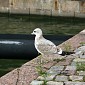 IMG_7644