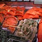IMG_7685