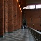 IMG_7753