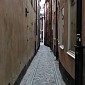 IMG_7841