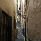 IMG_7853
