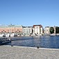 IMG_7886
