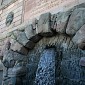 IMG_7894