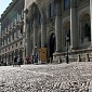 IMG_7901
