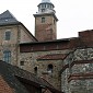 IMG_7952