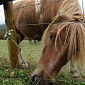IMG_8074