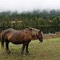 IMG_8076