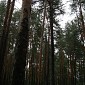 IMG_8147