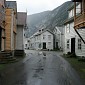 IMG_8248