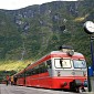 IMG_8304