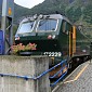 IMG_8313
