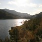 IMG_8345