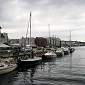IMG_8480