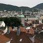 IMG_8501