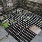 IMG_8537