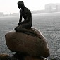 IMG_8822