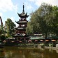 IMG_9118