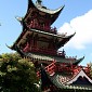 IMG_9145