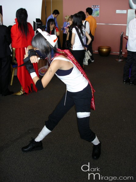 DSC03252