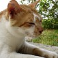 DSC02612