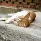 DSC02622