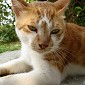 DSC02631