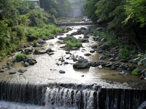 DSC00999