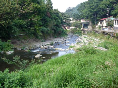 DSC01010