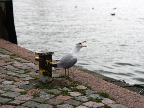 IMG_7639