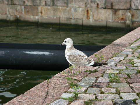IMG_7644