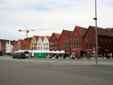 IMG_8448