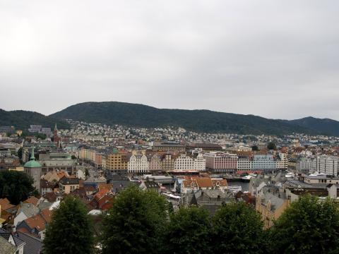 IMG_8505