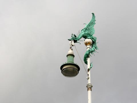 IMG_8850