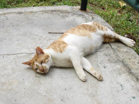 DSC02597