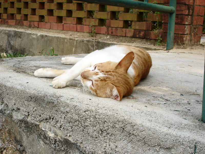 DSC02622